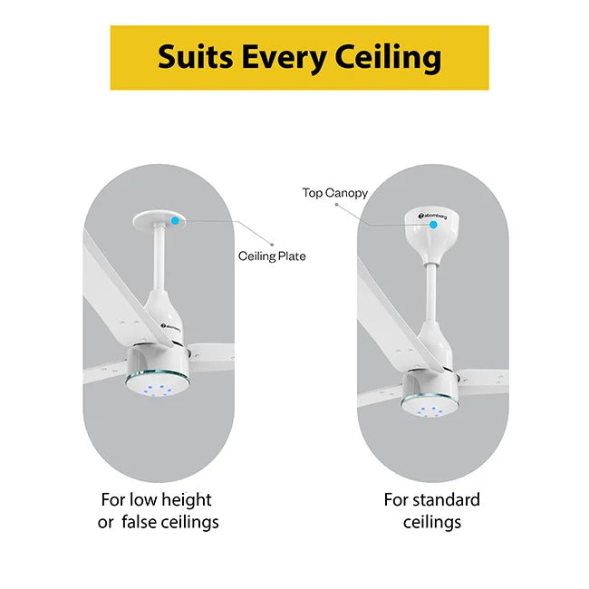 Atomberg Renesa Halo Smart 1200mm BLDC Ceiling Fan with IoT & Remote I Homerun, Bangalore