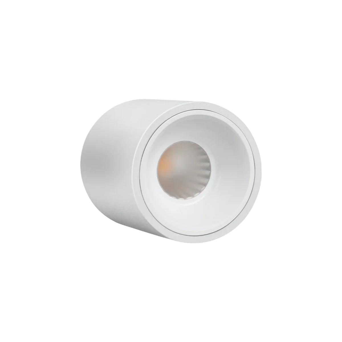 Philips Surface Deco LED COB Light