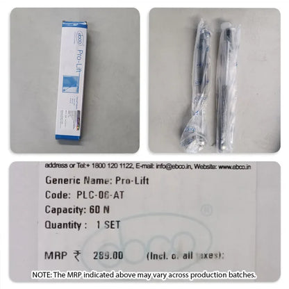 Ebco Pro Lift Cabinet Gas Pump, 1 Set (2 Nos)