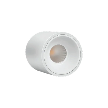 Philips Surface Deco LED COB Light